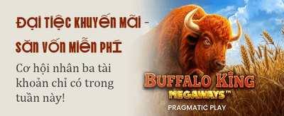 Hoàn trả không giới hạn